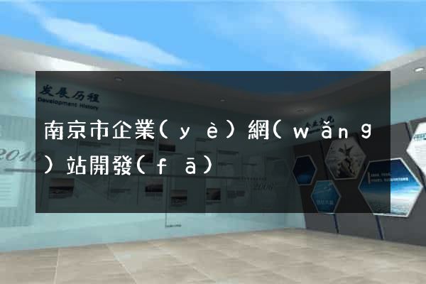南京市企業(yè)網(wǎng)站開發(fā)