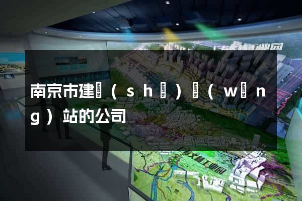 南京市建設(shè)網(wǎng)站的公司