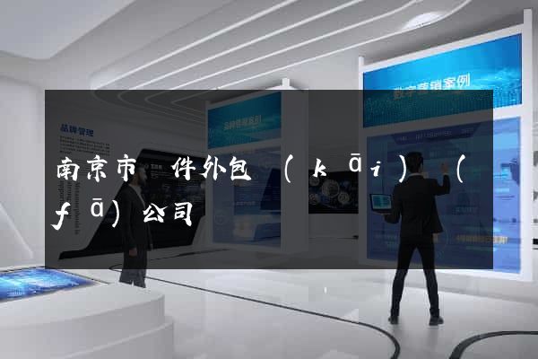 南京市軟件外包開(kāi)發(fā)公司
