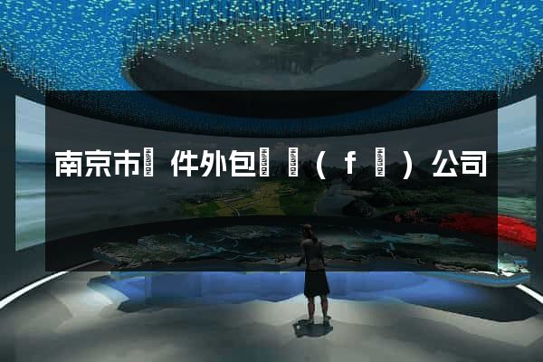 南京市軟件外包開發(fā)公司