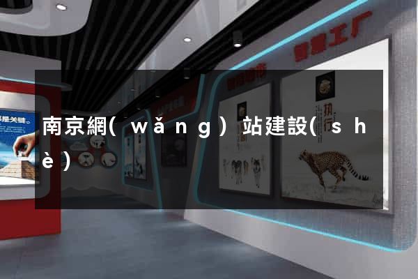 南京網(wǎng)站建設(shè)