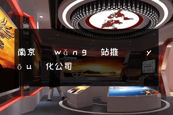 南京網(wǎng)站推廣優(yōu)化公司