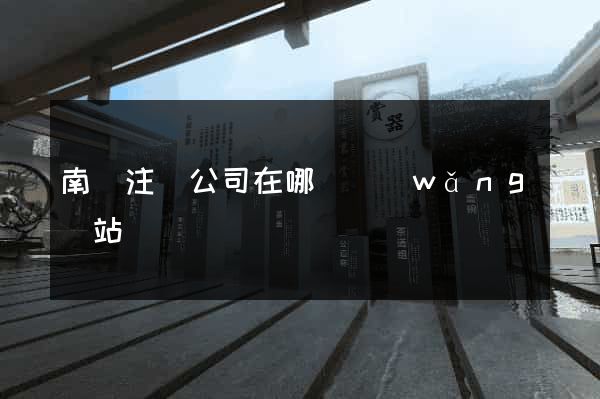 南寧注冊公司在哪個網(wǎng)站
