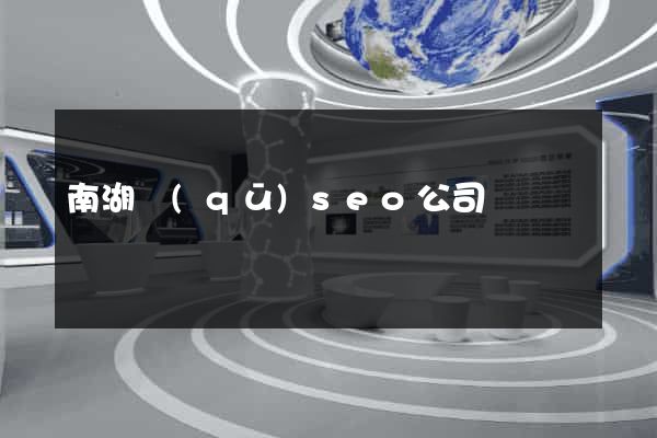 南湖區(qū)seo公司