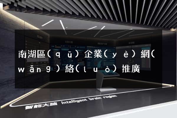 南湖區(qū)企業(yè)網(wǎng)絡(luò)推廣
