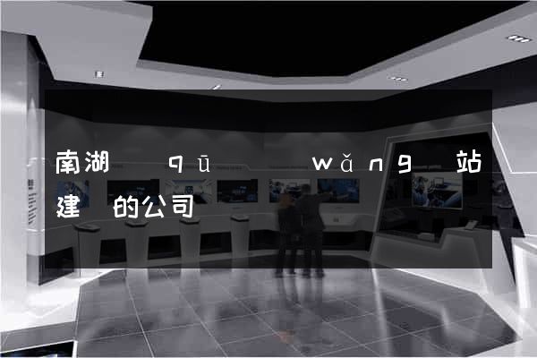 南湖區(qū)網(wǎng)站建設的公司