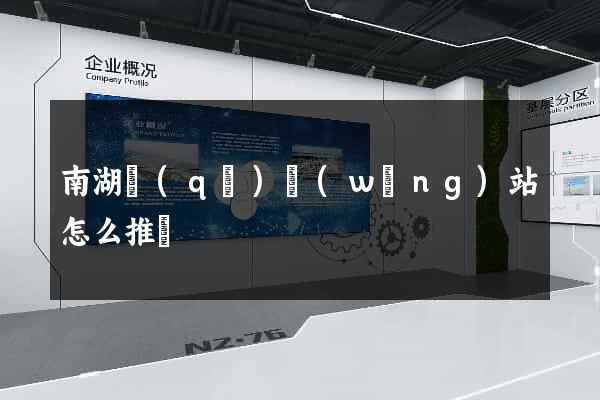 南湖區(qū)網(wǎng)站怎么推廣