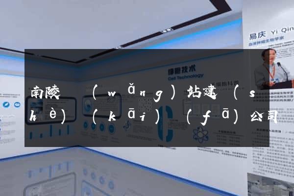 南陵縣網(wǎng)站建設(shè)開(kāi)發(fā)公司