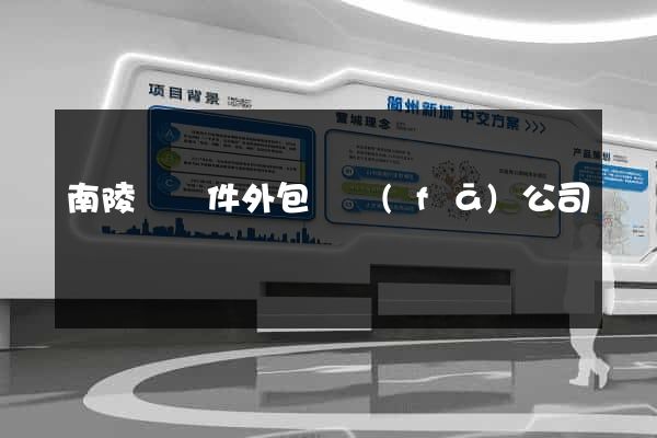 南陵縣軟件外包開發(fā)公司