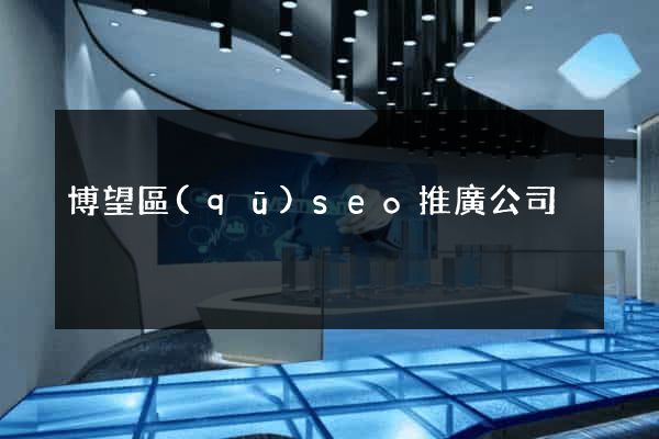 博望區(qū)seo推廣公司