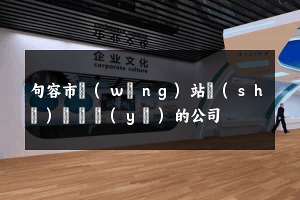 句容市網(wǎng)站設(shè)計專業(yè)的公司