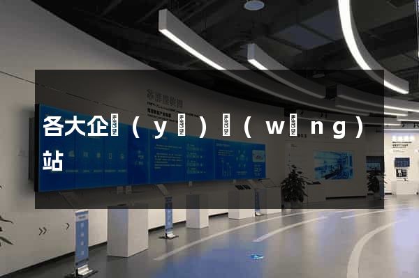 各大企業(yè)網(wǎng)站