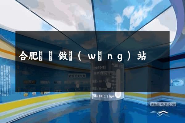 合肥專門做網(wǎng)站