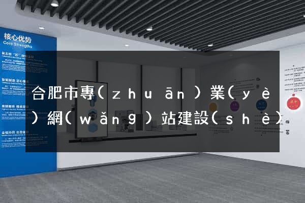 合肥市專(zhuān)業(yè)網(wǎng)站建設(shè)