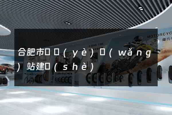 合肥市專業(yè)網(wǎng)站建設(shè)