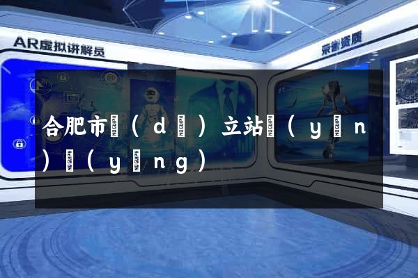 合肥市獨(dú)立站運(yùn)營(yíng)