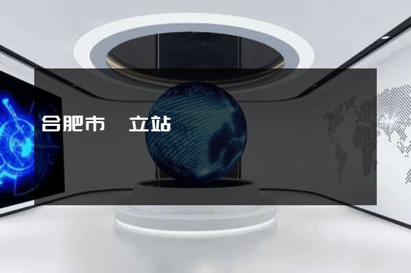 合肥市獨立站運營