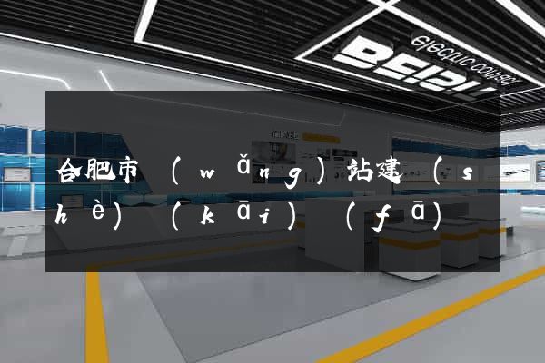 合肥市網(wǎng)站建設(shè)開(kāi)發(fā)