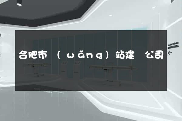 合肥市網(wǎng)站建設公司