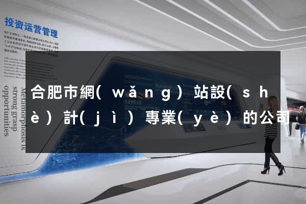 合肥市網(wǎng)站設(shè)計(jì)專業(yè)的公司