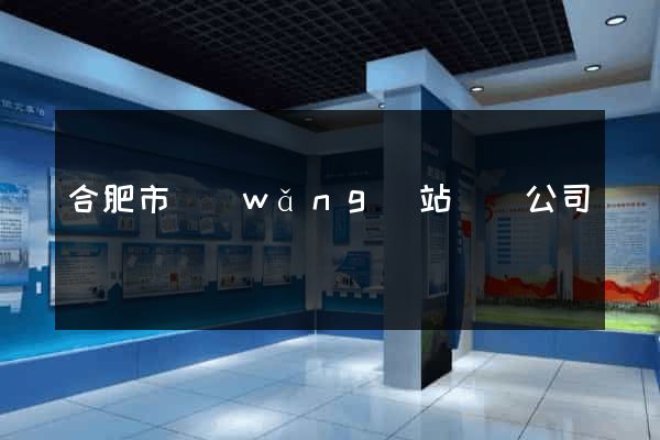 合肥市網(wǎng)站設計公司