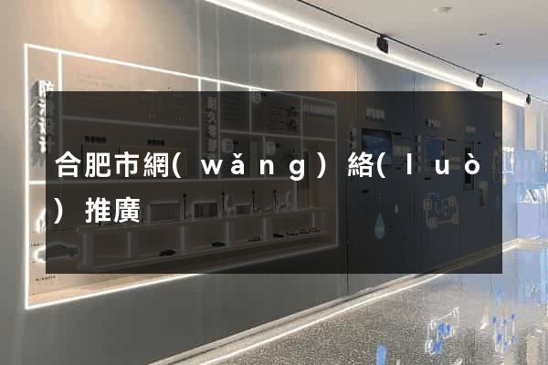 合肥市網(wǎng)絡(luò)推廣
