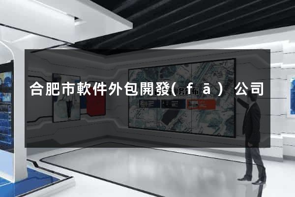 合肥市軟件外包開發(fā)公司