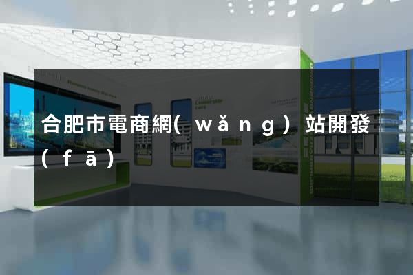 合肥市電商網(wǎng)站開發(fā)