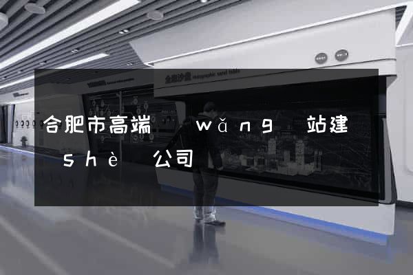 合肥市高端網(wǎng)站建設(shè)公司