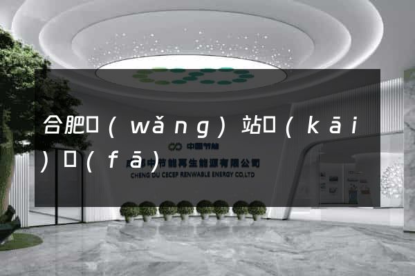 合肥網(wǎng)站開(kāi)發(fā)