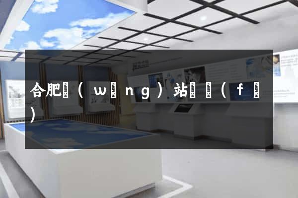 合肥網(wǎng)站開發(fā)