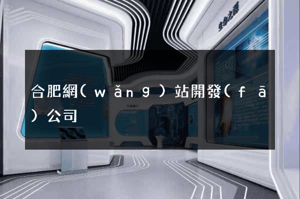 合肥網(wǎng)站開發(fā)公司