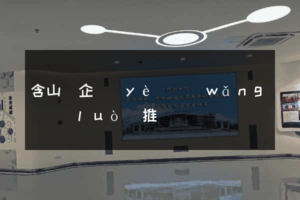 含山縣企業(yè)網(wǎng)絡(luò)推廣