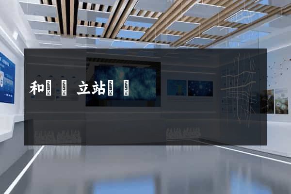 和縣獨立站運營