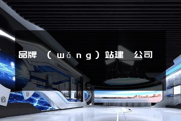 品牌網(wǎng)站建設公司