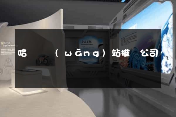 哈爾濱網(wǎng)站推廣公司