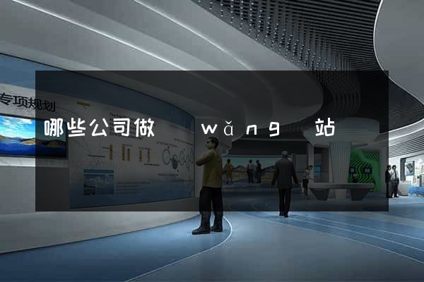 哪些公司做網(wǎng)站