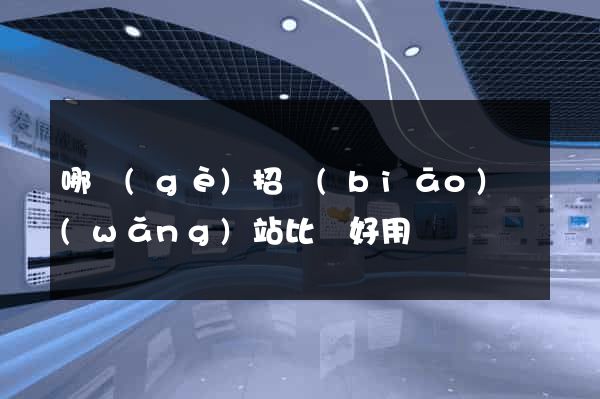 哪個(gè)招標(biāo)網(wǎng)站比較好用
