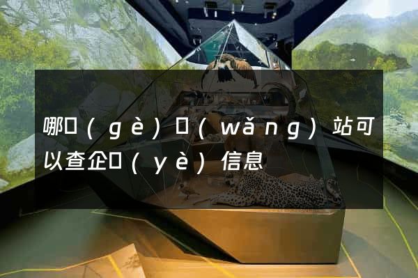 哪個(gè)網(wǎng)站可以查企業(yè)信息