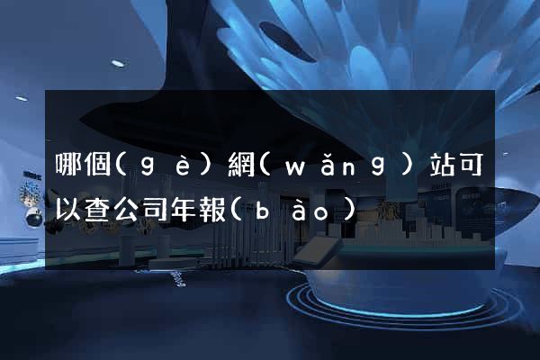 哪個(gè)網(wǎng)站可以查公司年報(bào)