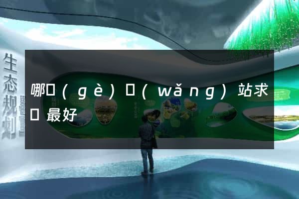 哪個(gè)網(wǎng)站求職最好