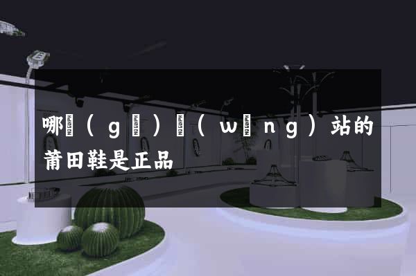 哪個(gè)網(wǎng)站的莆田鞋是正品