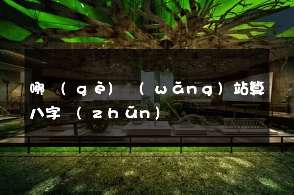 哪個(gè)網(wǎng)站算八字準(zhǔn)確