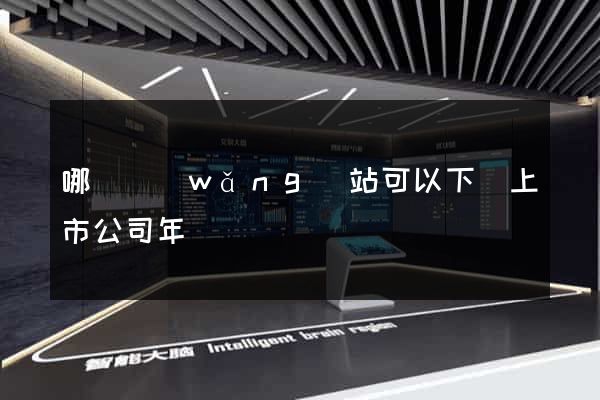 哪個網(wǎng)站可以下載上市公司年報