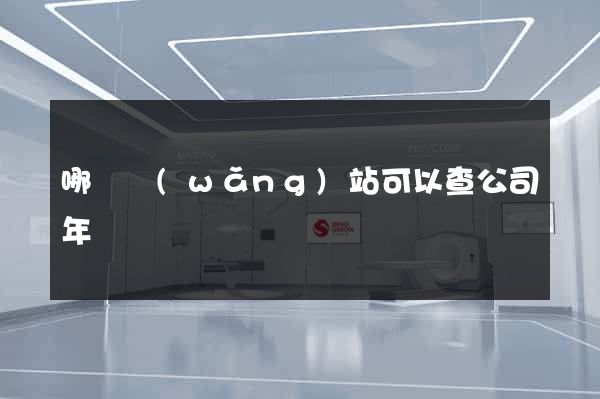 哪個網(wǎng)站可以查公司年報