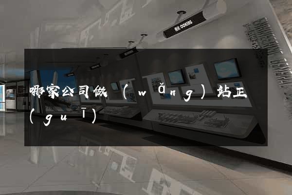 哪家公司做網(wǎng)站正規(guī)