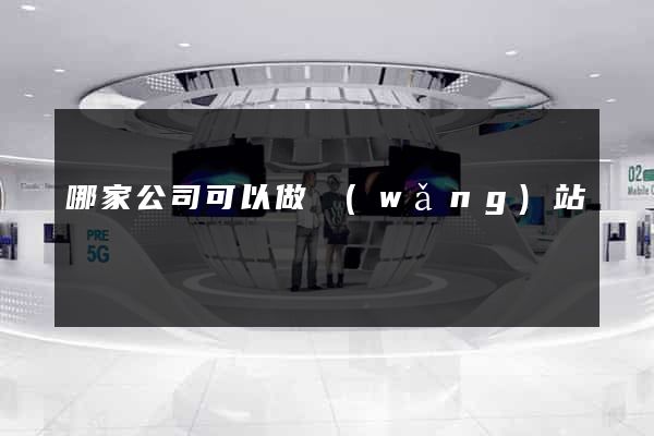 哪家公司可以做網(wǎng)站