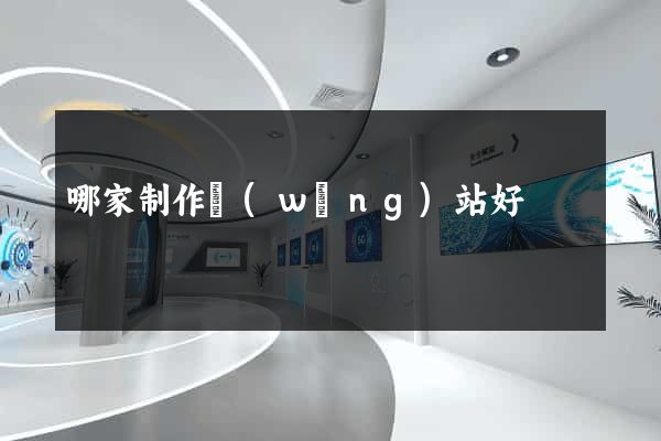 哪家制作網(wǎng)站好