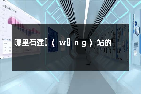 哪里有建網(wǎng)站的