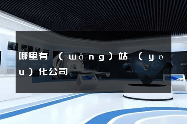 哪里有網(wǎng)站優(yōu)化公司